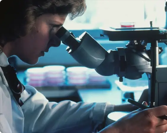 Calculating Carbon Credits From Harvest Deferral