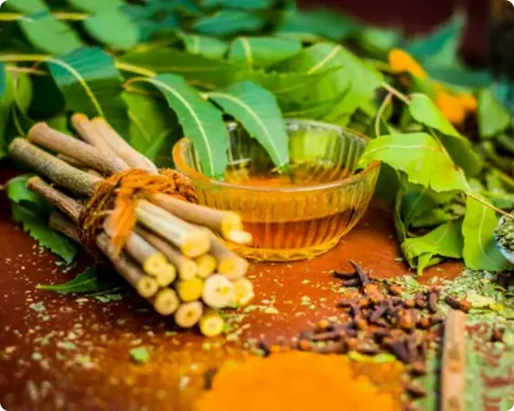 Calculating Carbon Credits From Harvest Deferral